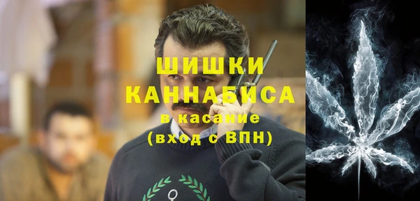 PSILOCYBIN Гусев