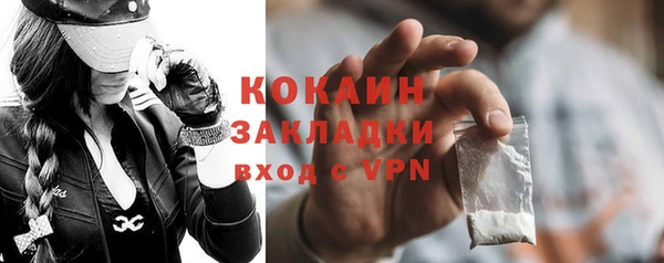 PSILOCYBIN Горняк