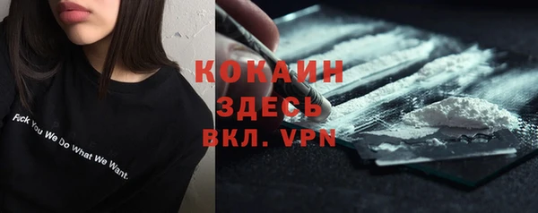 PSILOCYBIN Гусев