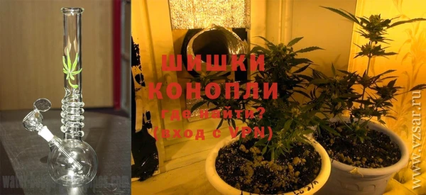 PSILOCYBIN Гусев