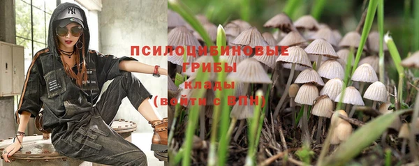 кристаллы Гусь-Хрустальный